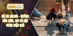 Đá Gà Online – Hướng Dẫn Xem, Soi Và Đặt Cược Hiệu Quả