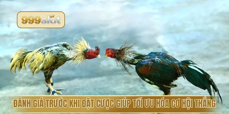 Đánh giá trước khi đặt cược giúp tối ưu hóa cơ hội thắng