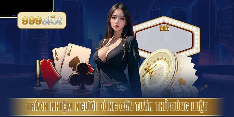 Trách nhiệm người dùng cần tuân thủ đúng luật